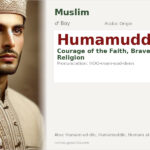 Humamuddin Name Meaning and Details