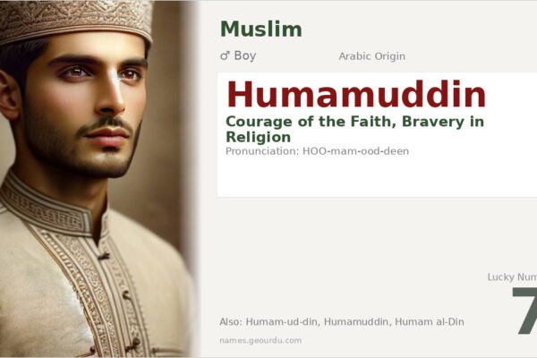 Humamuddin Name Meaning — Arabic Origin, Boy Name & Details (2025)