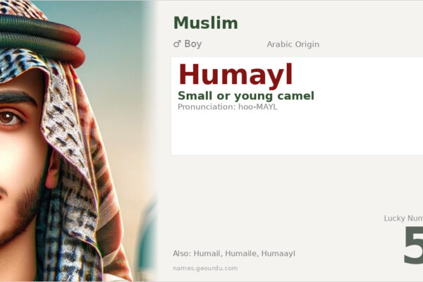 Humayl Name Meaning — Arabic Origin, Boy & Details (2025)