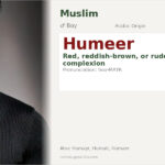 Humeer Name Meaning and Details