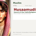 Husaamudin Name Meaning and Details