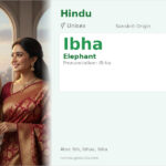 Ibha Name Meaning and Details