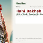 Ilahi Bakhsh Name Meaning and Details