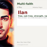 Ilan Name Meaning and Details