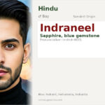 Indraneel Name Meaning and Details