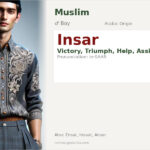 Insar Name Meaning and Details