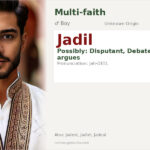 Jadil Name Meaning and Details