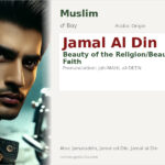 Jamal Al Din Name Meaning and Details