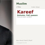 Kareef Name Meaning and Details
