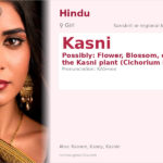 Kasni Name Meaning and Details
