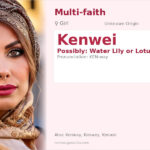 Kenwei Name Meaning and Details