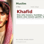 Khafid Name Meaning and Details