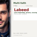 Labeed Name Meaning and Details