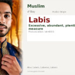 Labis Name Meaning and Details