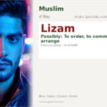 Lizam Name Meaning and Details