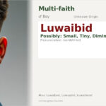 Luwaibid Name Meaning and Details