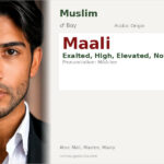 Maali Name Meaning and Details