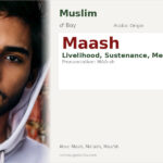 Maash Name Meaning and Details