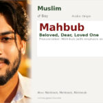Mahbub Name Meaning and Details