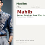 Mahib Name Meaning and Details