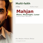 Mahjan Name Meaning and Details