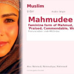 Mahmudee Name Meaning and Details