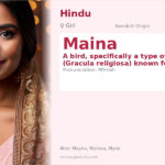 Maina Name Meaning and Details