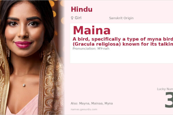 Maina Name Meaning — Sanskrit Origin, Girl Name & Bird Symbolism (2025)