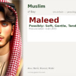 Maleed Name Meaning and Details