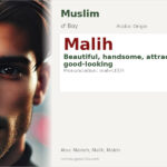 Malih Name Meaning and Details