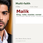Malik Name Meaning and Details