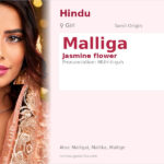 Malliga Name Meaning and Details