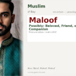 Maloof Name Meaning and Details