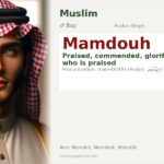 Mamdouh Name Meaning and Details