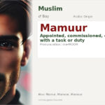 Mamuur Name Meaning and Details