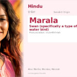 Marala Name Meaning and Details