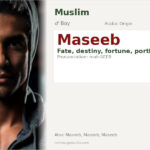 Maseeb Name Meaning and Details