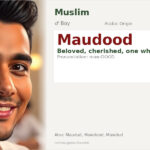 Maudood Name Meaning and Details