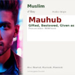 Mauhub Name Meaning and Details