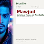 Mawjud Name Meaning and Details