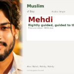 Mehdi Name Meaning and Details