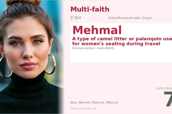 Mehmal Name Meaning — Origin, Gender & Details (2025)