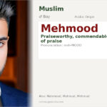 Mehmood Name Meaning and Details