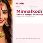 Minnalkodi Name Meaning and Details