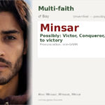 Minsar Name Meaning and Details