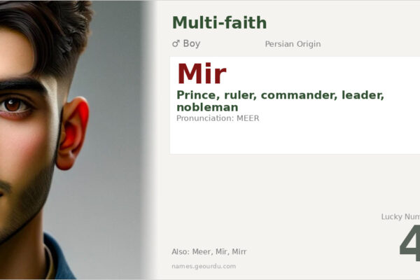 Mir Name Meaning — Persian Origin, Prince/Ruler & Details (2025)