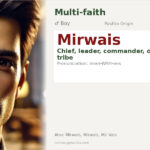 Mirwais Name Meaning and Details