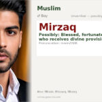 Mirzaq Name Meaning and Details