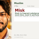 Misk Name Meaning and Details
