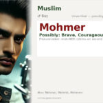 Mohmer Name Meaning and Details